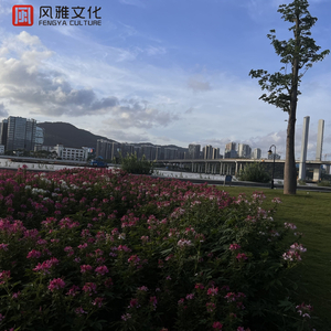 寡妇在遗照前猛肉狂翻
